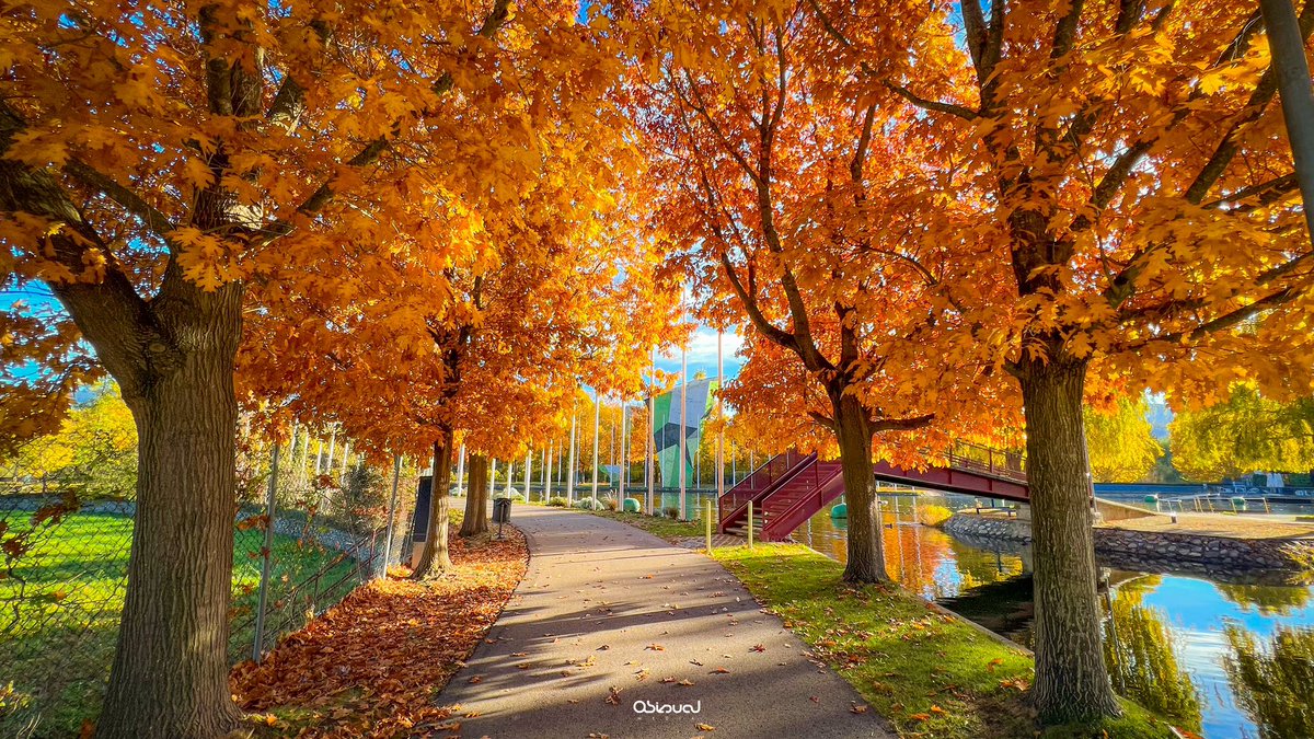 marcobiols_'s tweet photo. Així tenim el Parc del Segre de la Seu d’Urgell 🍁🧡 https://t.co/syhwPKwVNk