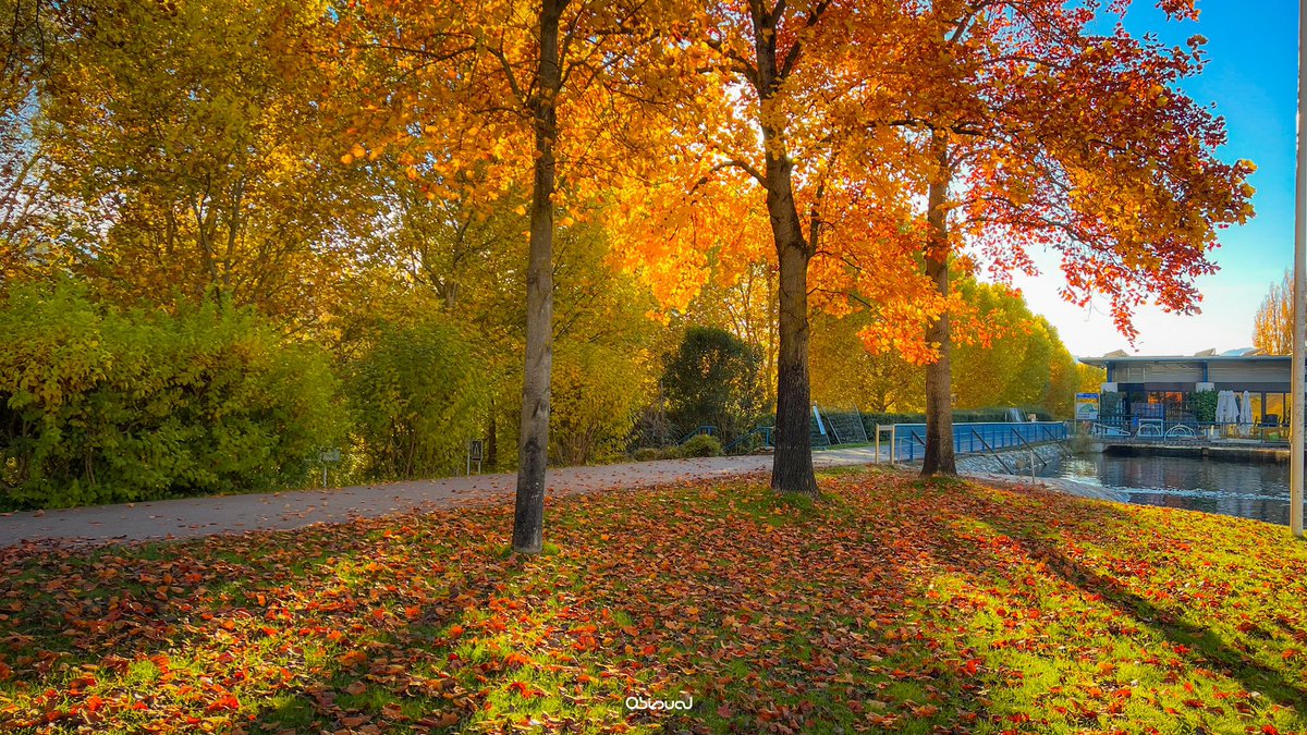 marcobiols_'s tweet photo. Així tenim el Parc del Segre de la Seu d’Urgell 🍁🧡 https://t.co/syhwPKwVNk