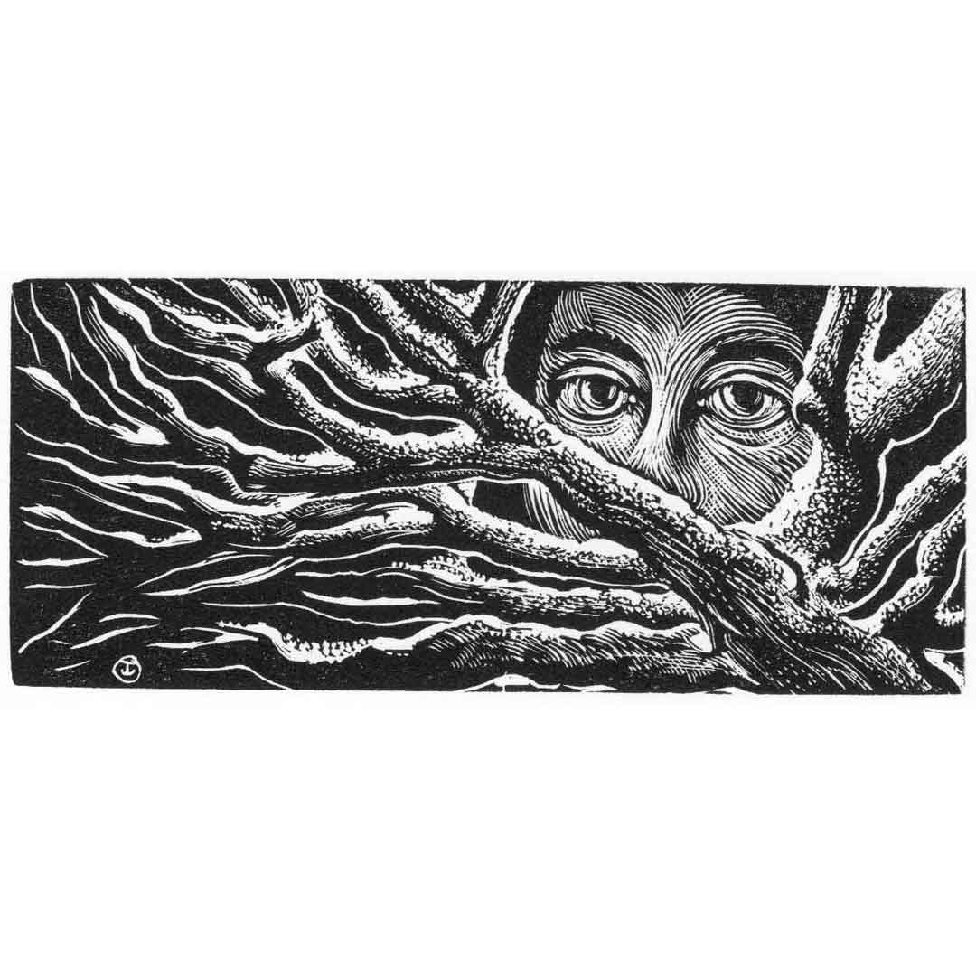 Judith Jaidinger - Cautionary Tale. The 85th SWE Annual Exhibition finishes tomorrow, but there is one more day to see it at Zillah Bell Gallery, Thirsk. Work can also be seen and purchased from our website: societyofwoodengravers.co.uk #printmaking #woodengraving