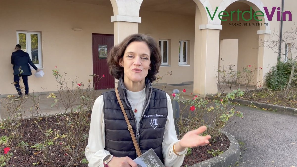 Vertdevin Magazine (@vertdevin) on Twitter photo 🇬🇧 Ludivine Griveau (winemaker and régisseur/vineyard manager of Domaine des Hospices de Beaune) speaks about the 2023 harvest #wineauction #hospicesdebeaune #sothebys #vertdevin #bourgogne #charity #winebusiness #bourgognewines <a href="/hospicescivils/">Hospices Civils de Beaune</a>
--> youtu.be/Usf_p__C5rE 🇬🇧 Ludivine Griveau (winemaker and régisseur/vineyard manager of Domaine des Hospices de Beaune) speaks about the 2023 harvest #wineauction #hospicesdebeaune #sothebys #vertdevin #bourgogne #charity #winebusiness #bourgognewines <a href="/hospicescivils/">Hospices Civils de Beaune</a>
--> youtu.be/Usf_p__C5rE