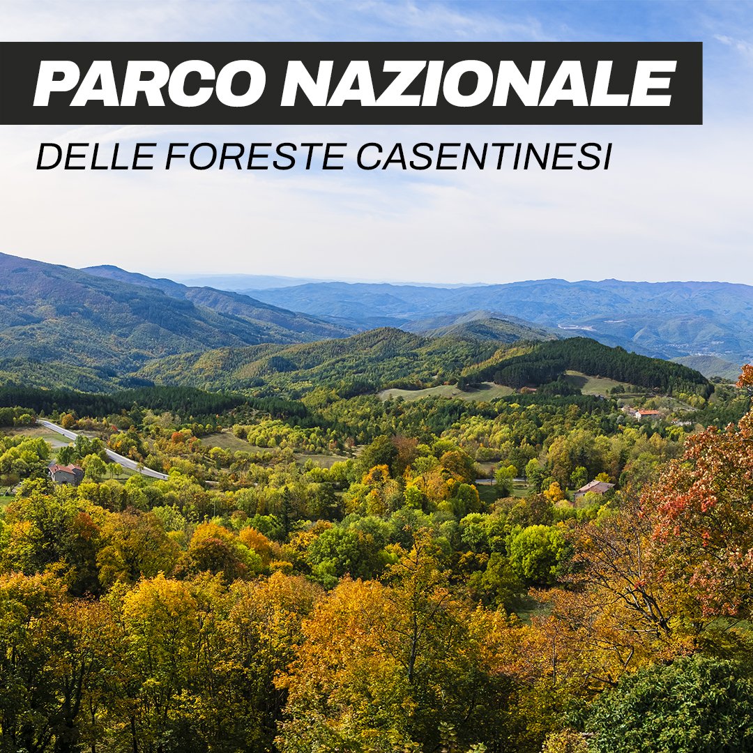 🤩 I territori del #GrandDépart2024 nascondono tante meraviglie e tra queste c'è sicuramente il Parco Nazionale delle Foreste Casentinesi. E da lì che passeranno i campioni de @LeTour in occasione della prima tappa Firenze-Rimini!
-
@turismoER
-
#TDF2024 #inEmiliaRomagna