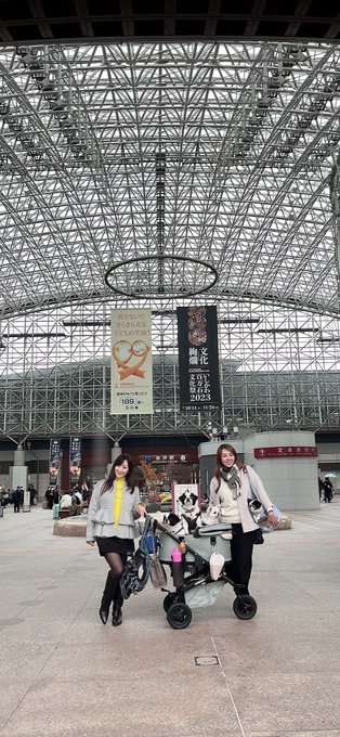 ずっと蟹食べてる🤣風間さんと金沢行ってきたよーー🦀 #yumikazama https://t.co/T8B5koAMri<a href="/tag/yumikazama"class="tags">#yumikazama</a>