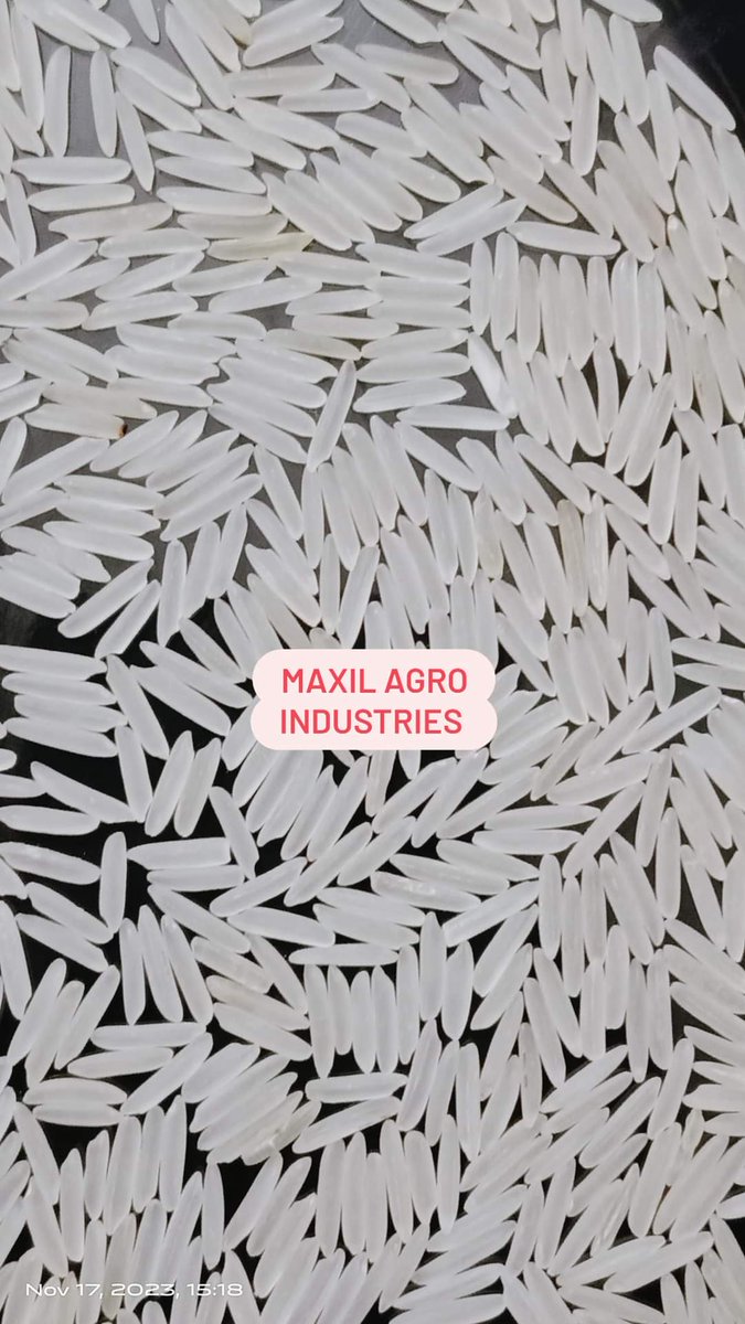 maxilindustries's tweet photo. Top class and first quality 1121 creamy sella Basmati rice
Length: 8.40mm
For any requirement, contact us on:
WhatsApp: +918295460011
Web: https://t.co/errgZHw4b6
Email: info@maxilrice.com, maxilrice@gmail.com
#Maxil #Agro #Industries #Rice #Basmatirice #Indianbasmatirice https://t.co/NPmyNUWI6Z