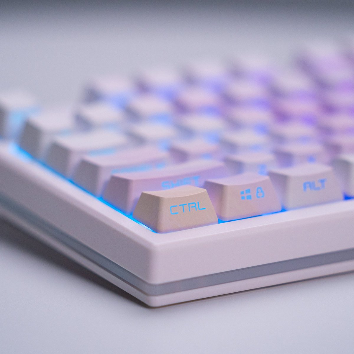 EpomakerK's tweet photo. Peach Sunset Day and Night
・
🍑https://t.co/msYnFQOBq6
・
(๑>3<) 💗
#epomaker #epomakerkeyboad #keyboardrgb #keyboard #mechanicalkeyboard #keyboardhotswap #gamingsetup #customkeyboard #gamingkeyboard #gamer #keycapset #cat #minicat #catsoftheworld #asmr #rgb #keyboardrgb https://t.co/XdpCIEG3rk