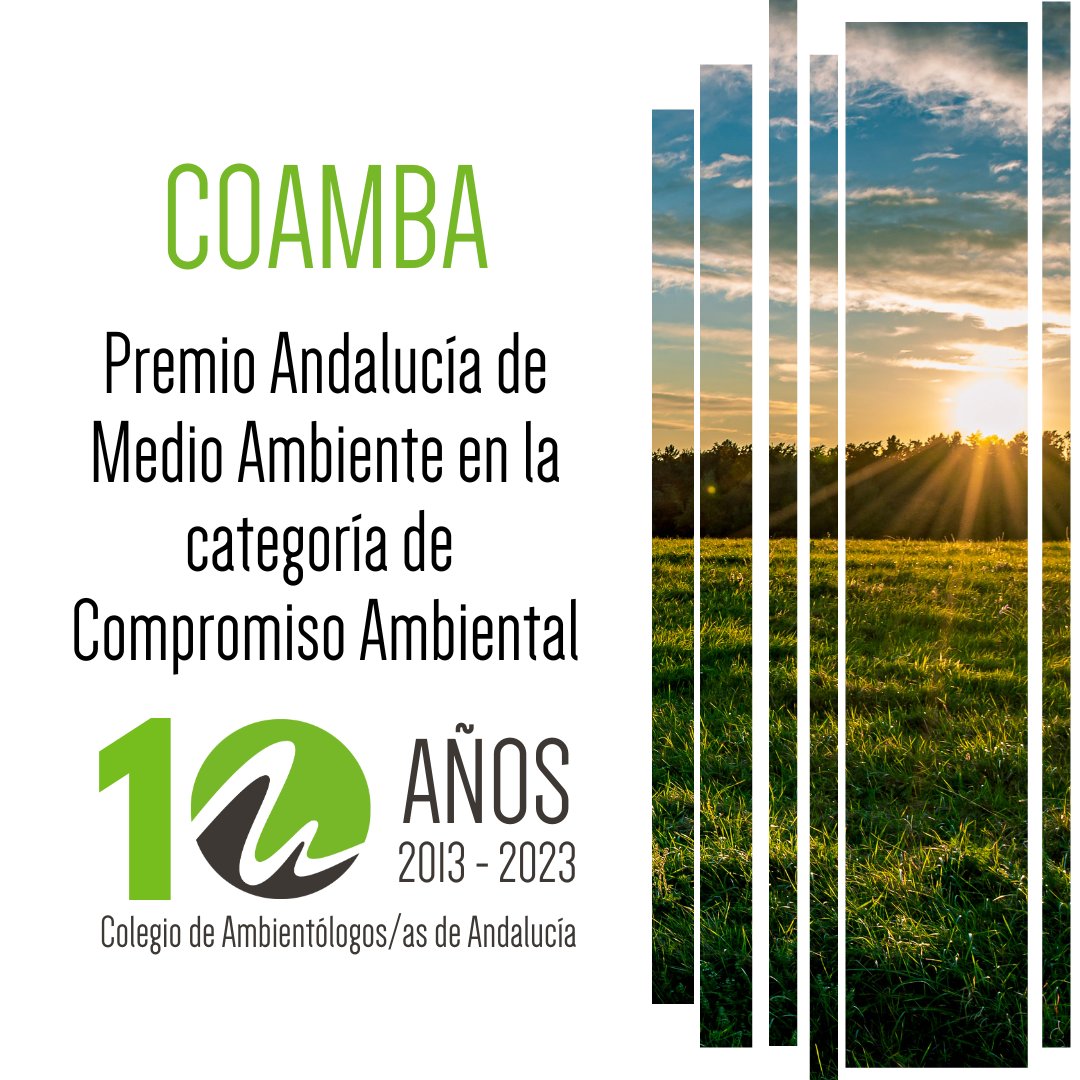 🥇 Hemos tenido el honor de recibir el #PAMA de #CompromisoAmbiental. Es un testimonio del arduo trabajo, dedicación y compromiso continuo con la protección del medio ambiente. Celebramos 🔟aniversario mirando hacia el futuro con optimismo y determinación.
shre.ink/THPN