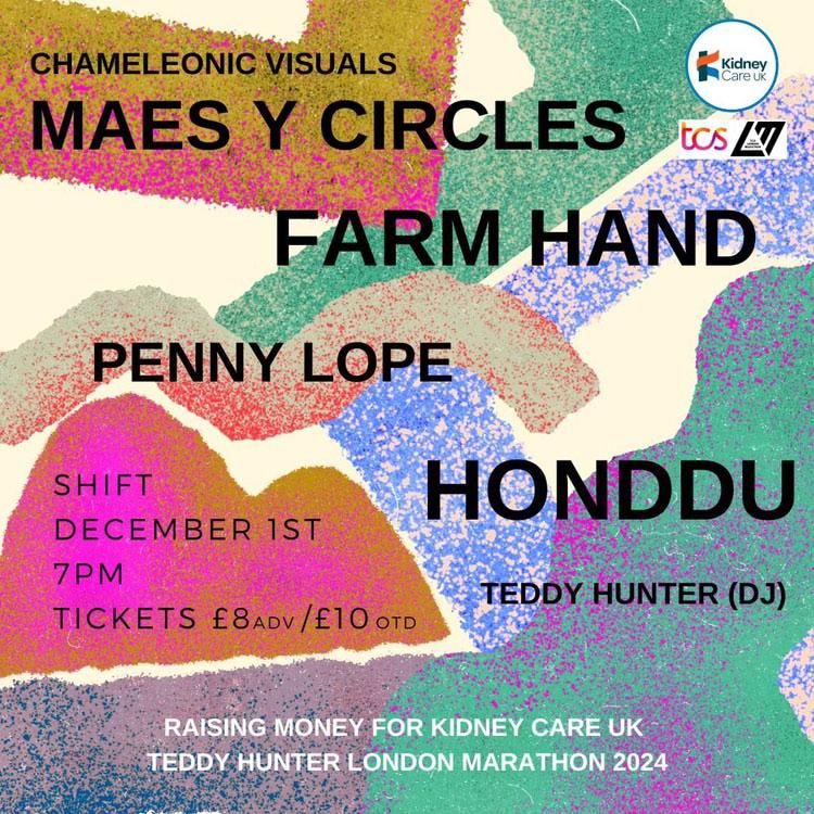 Our last show of the year will be on Friday 1st Dec with @farmhandle, Penny Lope and Honddu at @shiftcardiff, an awesome space. @chameleonic will be creating live visuals too! 🙌 The event will raise money for @kidneycareuk. Thanks to @_teddyhunter for organising and asking us!