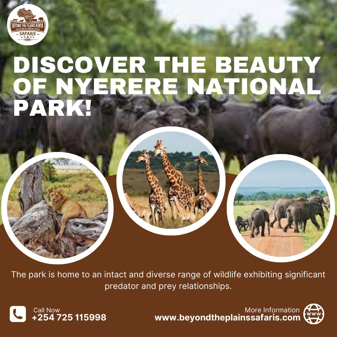 Beyondtheplains's tweet photo. Journey into the Heart of Nature at Nyerere National Park!

Visit our Website https://t.co/EdJEr9gll7

#NyerereNationalPark  #TanzaniaWildlife #SafariAdventure #NatureExploration
#WildlifeSanctuary https://t.co/Cr0xjcDrte