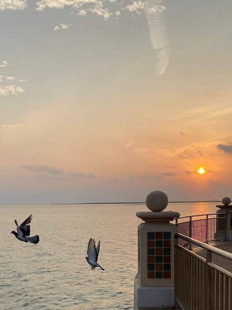 fajer1616's tweet photo. سلّم أمرك لله 
و ابتسم و اطمئن، 
فإن أتاك شيء فهو حتمًا لك، 
و إن لم يأتك فتأكد أنه لا يُناسبك، 
ثق بالله دائمًا https://t.co/j76RfsFjXy