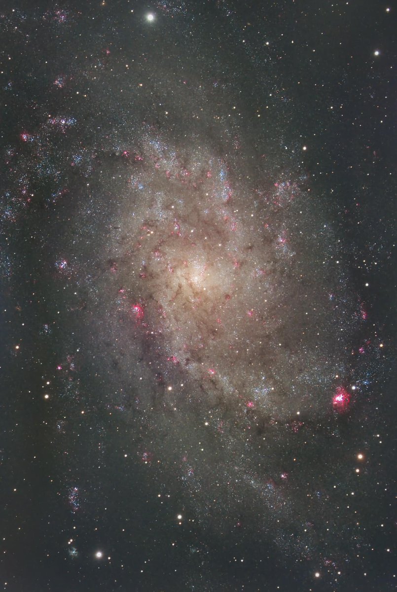 zwoastro's tweet photo. The Triangulum Galaxy (catalogued as Messier 33 or NGC 598) was photographed by ZWO user Richard McInnis.
⚙️ZWO Equipment:
ASI2600MM Pro
ASIAIR Pro
EFW
EAF
#deepskyphotography #zwo #universe #camera #astrophotography #nebula #M33 #ngc598 #ASI2600MMPro #asiairpro #efw #eaf https://t.co/4cownms2kU