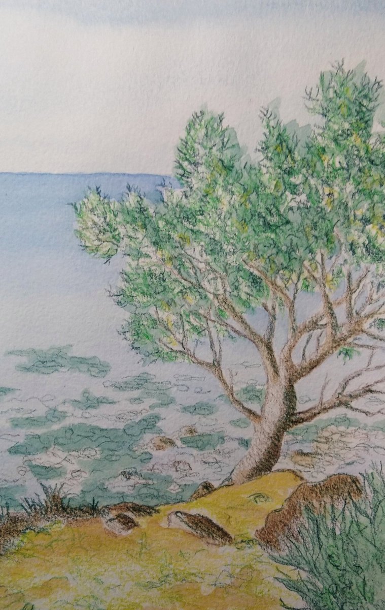 #france #instapaysage #sketches #watercolour #illustrator #illos #sketch #art #artists #artistsonx #pinturas #landscapes #coast #cotedazur #drawings #carnetdevoyage