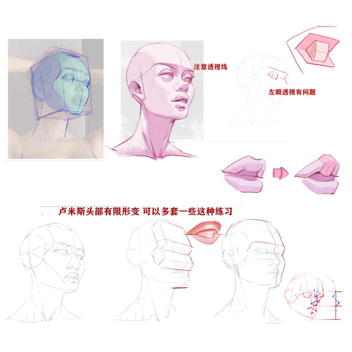 EcyCsPixpipbu4J's tweet photo. 头部练习中不同角度下头部和五官会有形变，同学们需要注意透视和比例问题，然后多多进行练习哦～ https://t.co/LG6xuiH8ai