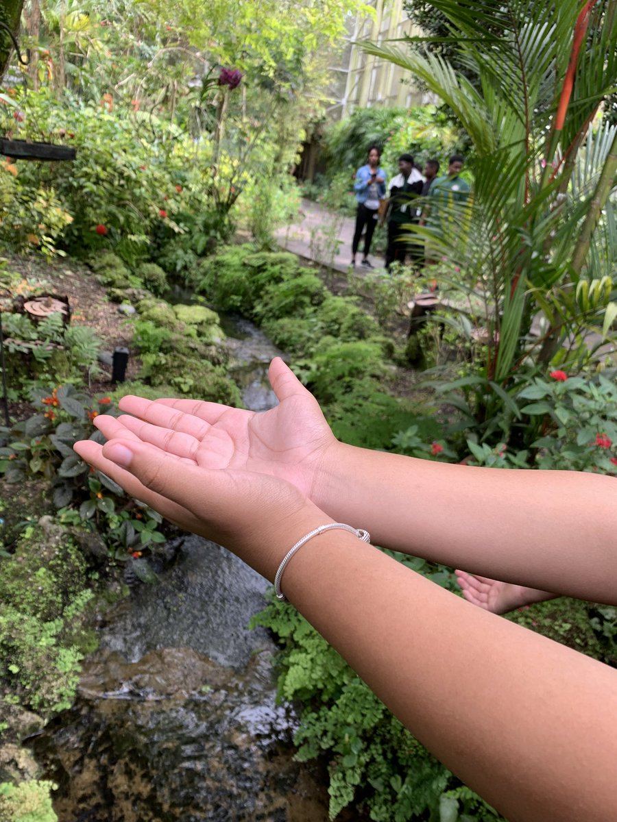 HubertSibleyK8's tweet photo. Our Sibley Sharks took a trip to Fairchild Tropical Botanical Gardens 🌳🌿.

@MDCPS @MDCPSNorth @ChandrellLarkin @FairchildGarden @MDCPSSTEAM @MDCPSSci https://t.co/ZhFI06hJGf