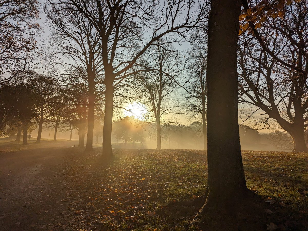 Love an autumn morning 😍 @roundhaypark @loveleedsparks