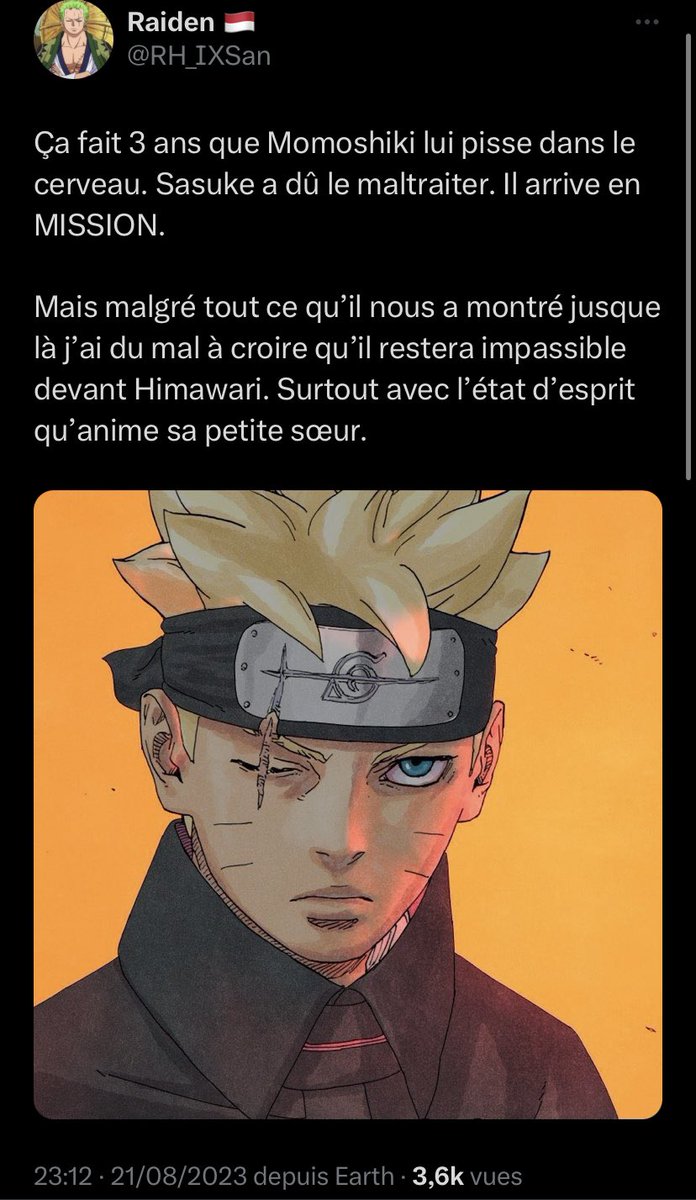 Raiden - Ermite Ôgama🇲🇨 tweet media