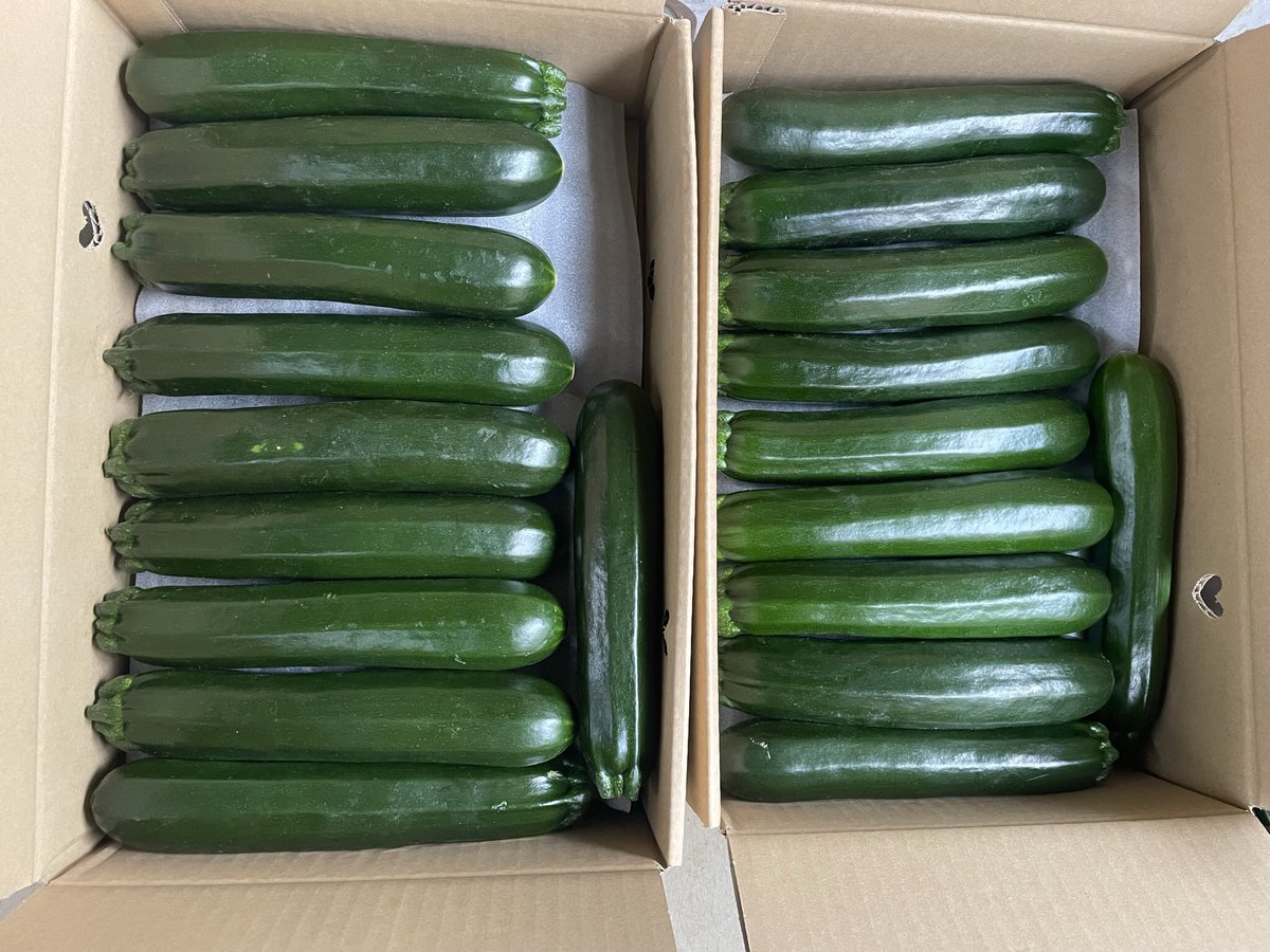 FarmGom's tweet photo. gom's farmからはズッキーニを出荷します🥒
よろしくお願いします🙏 https://t.co/8i8MsSs6QE