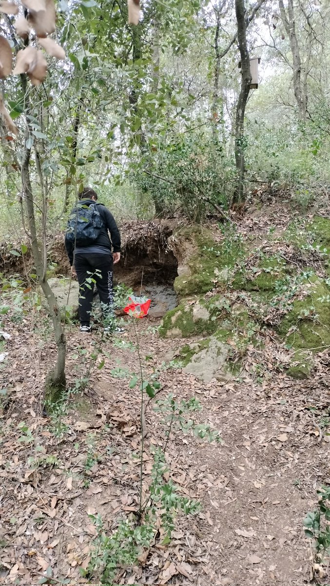 jm_santi's tweet photo. Aquest matí a #Celra, nova edició de la Cursa d'Orientació de la Llera del Ter, amb més de 150 alumnes de 6è de les escoles de Celrà, Flaçà i Bordils. Emmarcada dins del Pla Català de l'Esport a l'Escola de la #SGEAF.
@orientacio_cat https://t.co/EEupSlGvlf