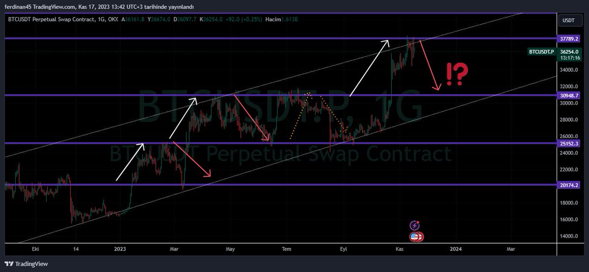 Bull's Trade Company tweet media