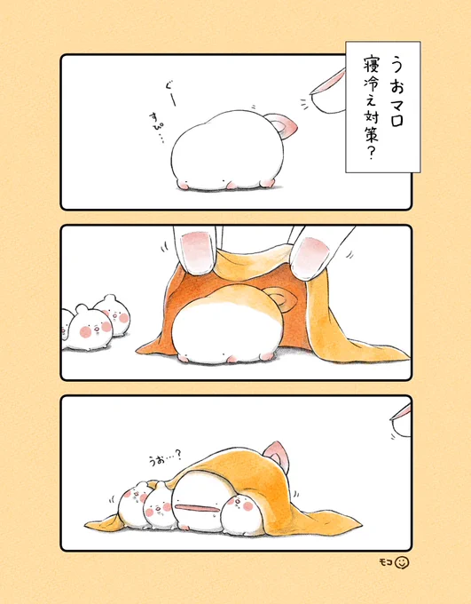うおマロ、寝冷え対策? 