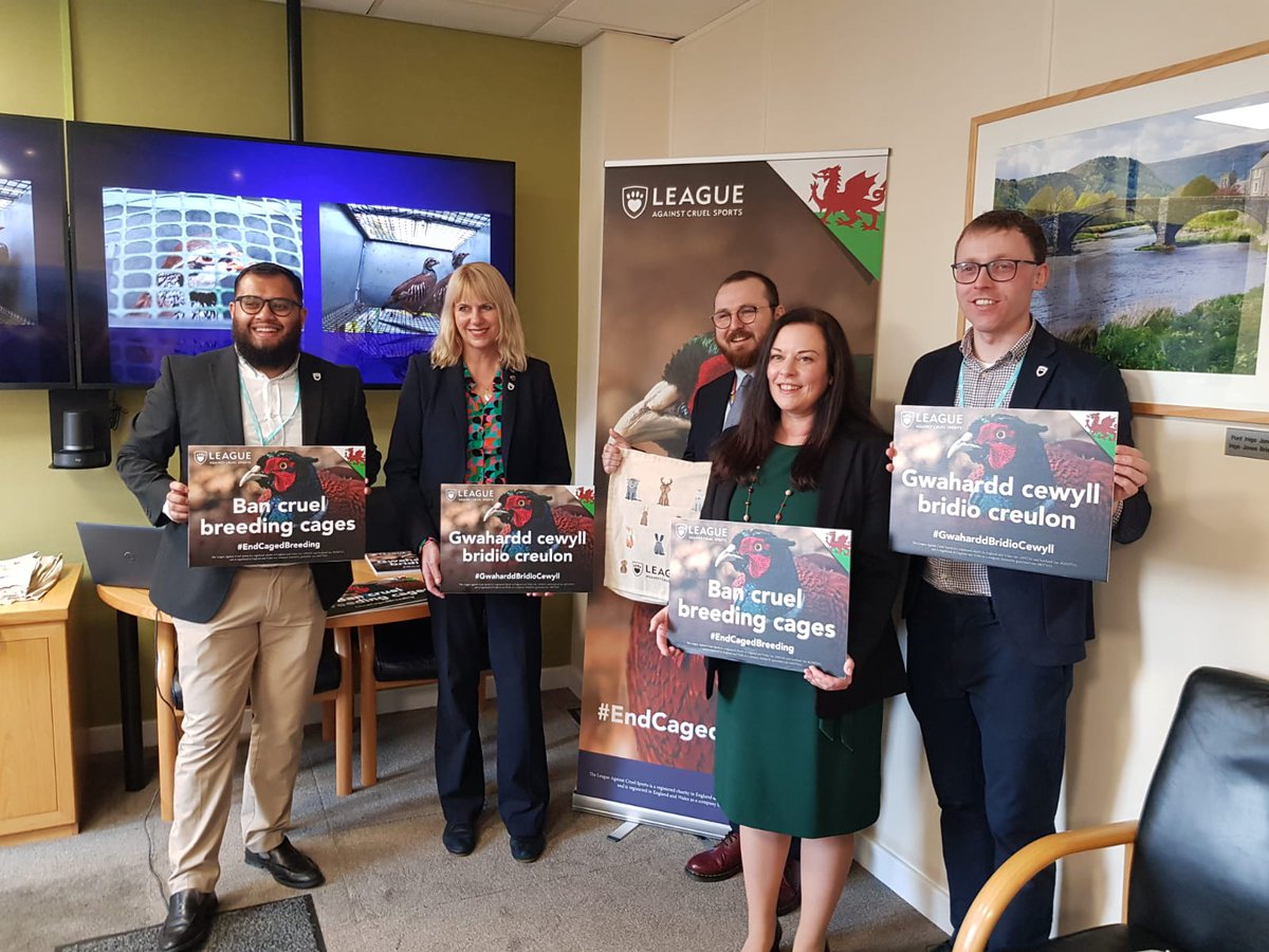 Wales has already banned glue traps and snares, now it is time to do the same with cruel breeding cages. Great to see lots of cross-party support for a ban at the Senedd event hosted by @VikkiHowells.
