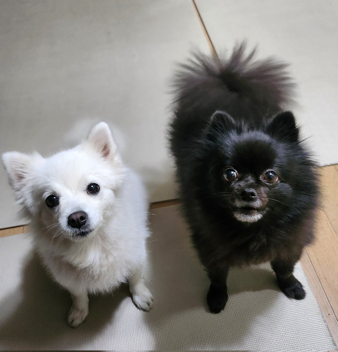 야근했다고 혼나는중