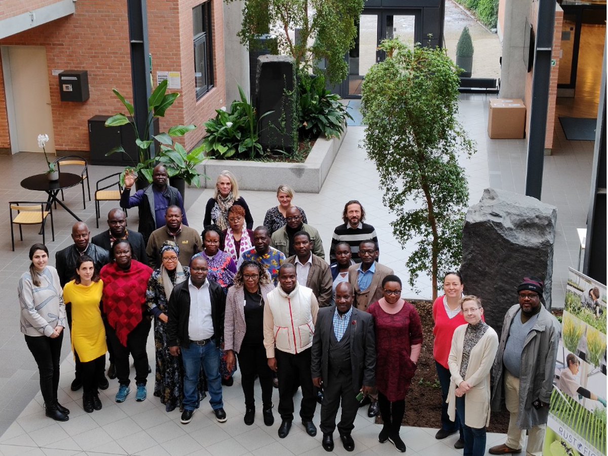 🌱 We had a global workshop on Seed Quality Management, uniting African genebanks to fortify crop diversity. The event, part of the Seeds for Resilience project, emphasized processes and legal frameworks crucial for preserving plant genetic resources. #SeedQuality #CropDiversity