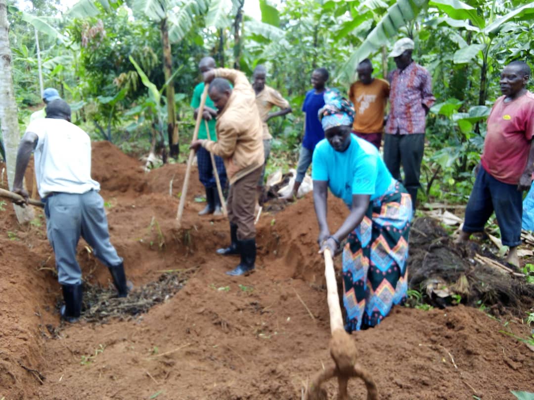 Rukumberi Sector tweet media