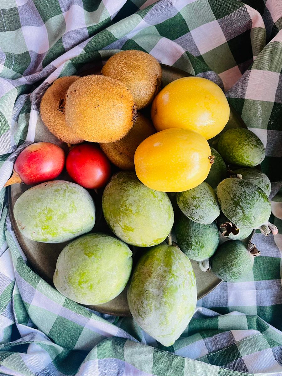 🟠 A partir de las 11.05h, <a href="/vanessasanther/">Vanessa Santana</a> propone un reto. Hablará de esta fotografía y los productos que aparecen en ella. ¿Sabrían decirnos cuáles son? 

Te leemos en el #Whatsapp 📞 616486754

🎙️ <a href="/mercedesmartinr/">Mercedes Martín</a> 
📻 #UnaMásUnaCR
📡 rtvc.es/en-directo/