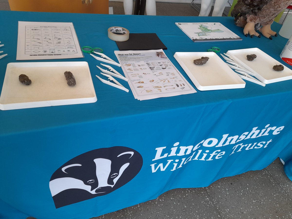 LincsWildlife's tweet photo. We are delighted to have a stall set up today at the @unilincoln's Climate Action Festival which is a week dedicated to raising awareness on how you can take positive climate action in your community and further afield.
#weareanaturepostiveuniversity #netzeroby2040 #caf23 https://t.co/fLluGfSI1l