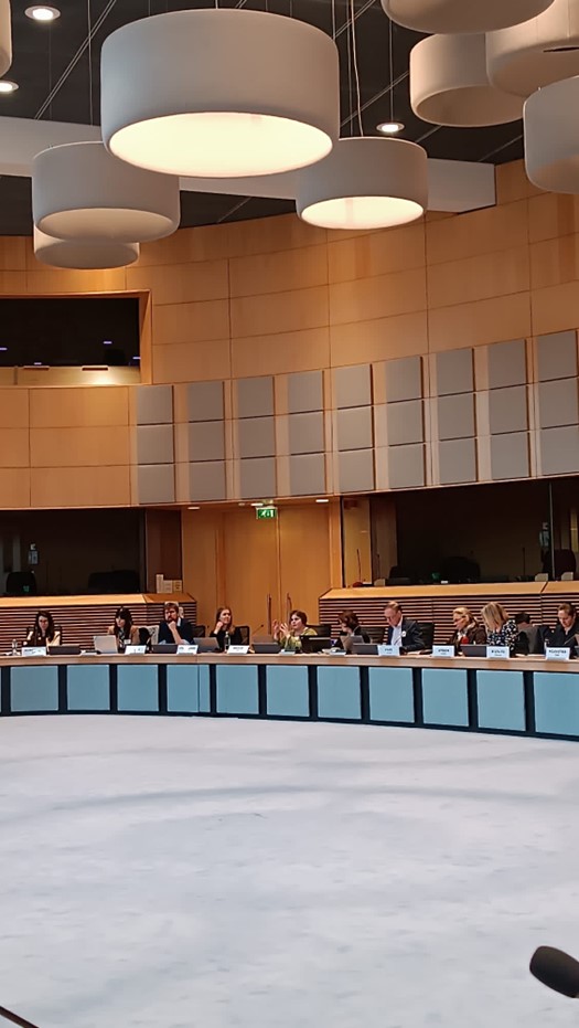 ToBe_Research's tweet image. 👩‍🏫@Liisahai presenting ToBe today at the #NewEconomicModels roundtable hosted at the
@EU_Commission among sister projects #SPES #WISEHorizons and #WISER.
🌿A great chance to discuss the socio-economic transformation with policymakers, academia and other important stakeholders