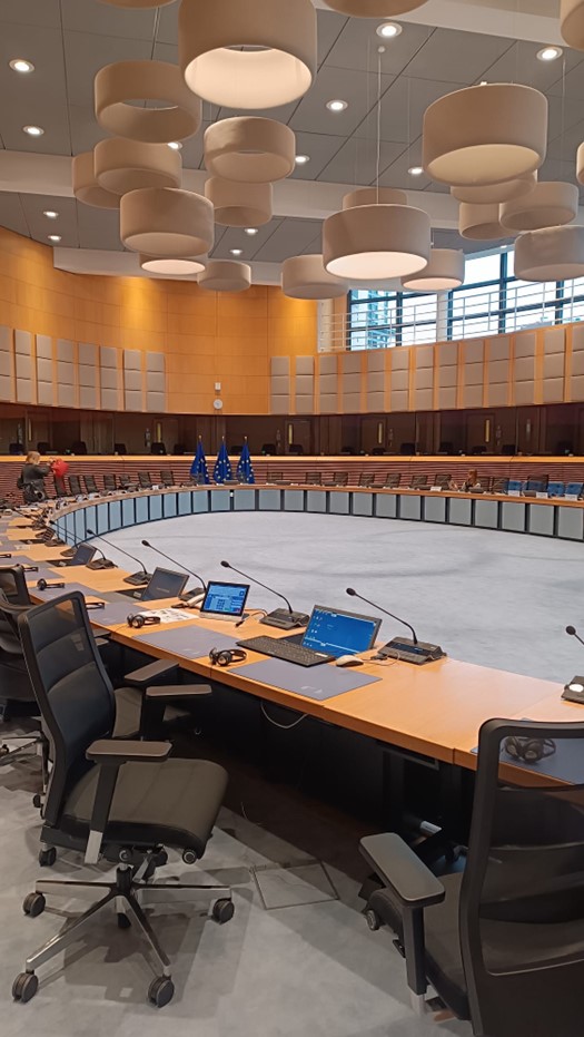 ToBe_Research's tweet image. 👩‍🏫@Liisahai presenting ToBe today at the #NewEconomicModels roundtable hosted at the
@EU_Commission among sister projects #SPES #WISEHorizons and #WISER.
🌿A great chance to discuss the socio-economic transformation with policymakers, academia and other important stakeholders