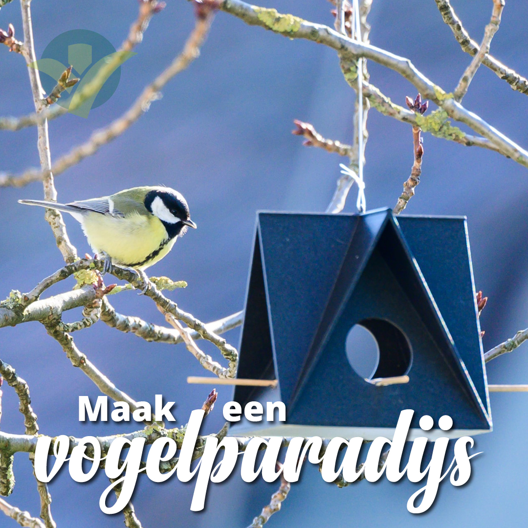 Terwijl de winter bijna zijn intrede doet, hebben onze tuinhelden wat extra zorg nodig! Verken nu ons assortiment aan winterse vogelhuisjes, voeders en meer! Kom langs bij een van onze vestigingen. Check ow.ly/5HpB50Q7liW voor alle openingstijden.

#Vogel #Winter #GroenRijk