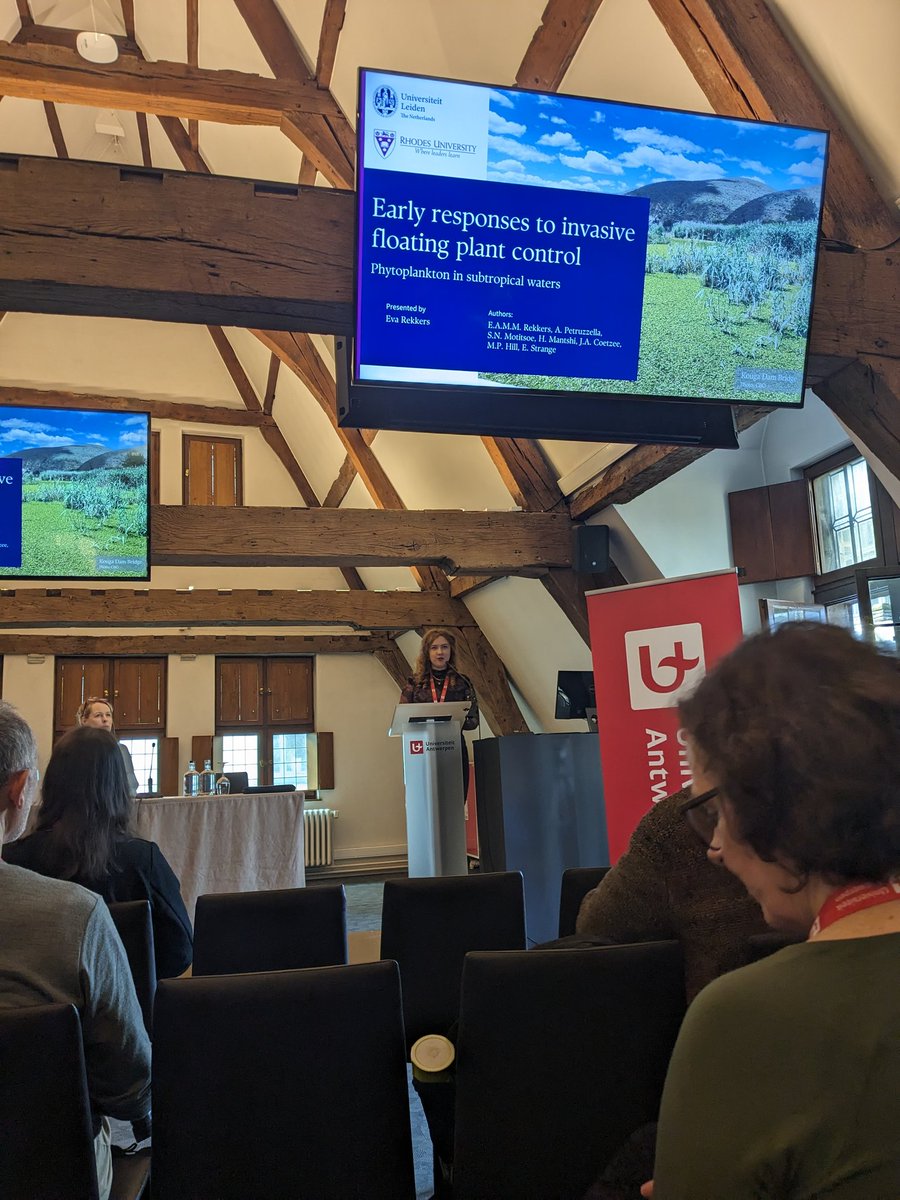 Fantastic presentation by our MSc student Eva Rekkers... short term recovery of phytoplankton to invasive floating plants control....does removal = recovery?! #aquaticplants2023 #invasivespecies #ecology
