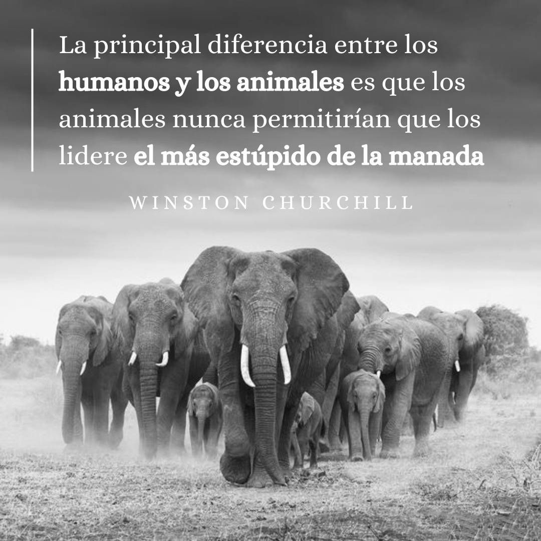 PropositoyVida's tweet photo. https://t.co/vCKOOJBwuN