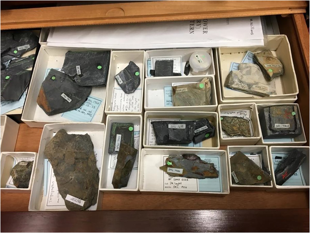 The UK National Geological Repository: a case study in innovation. By Michael P. A. Howe. 

Read more in the Lyell Collection lyellcollection.org/doi/10.1144/SP… 

#Geology #Geoscience #EarthScience #OpenAccess