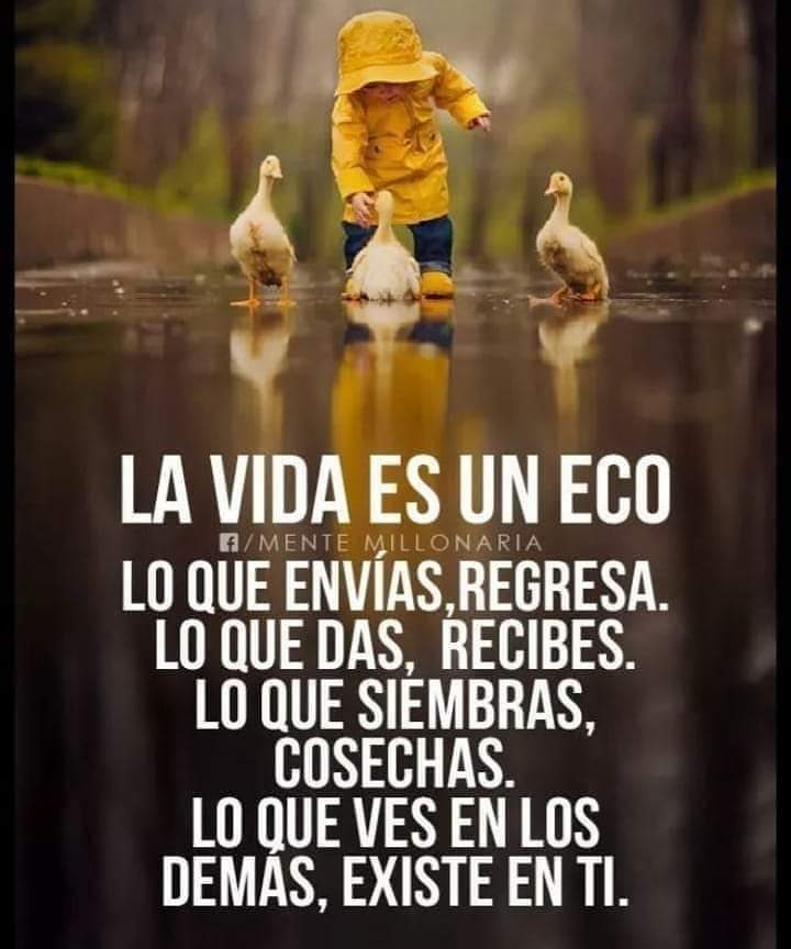 Que tengas un excelente día!
#FelizViernesATodos