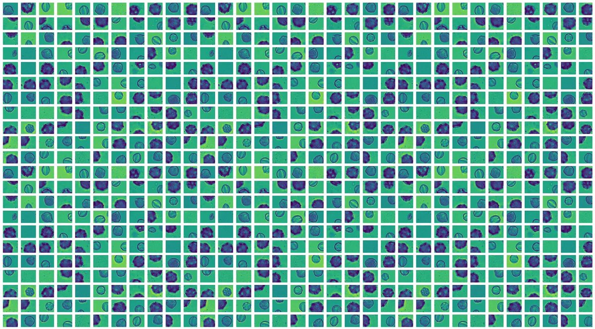 SLN_ICFO's tweet photo. 🌐 Exciting News!
We are thrilled to be part of the #NextScreen project (@nextscreen_msca), which aims to exploit the capabilities of existing imaging flow cytometry (IFC) instruments and pioneer the development of next generation automatic and data-driven diagnostic tools.
⬇️ https://t.co/rnAhRbdlLA