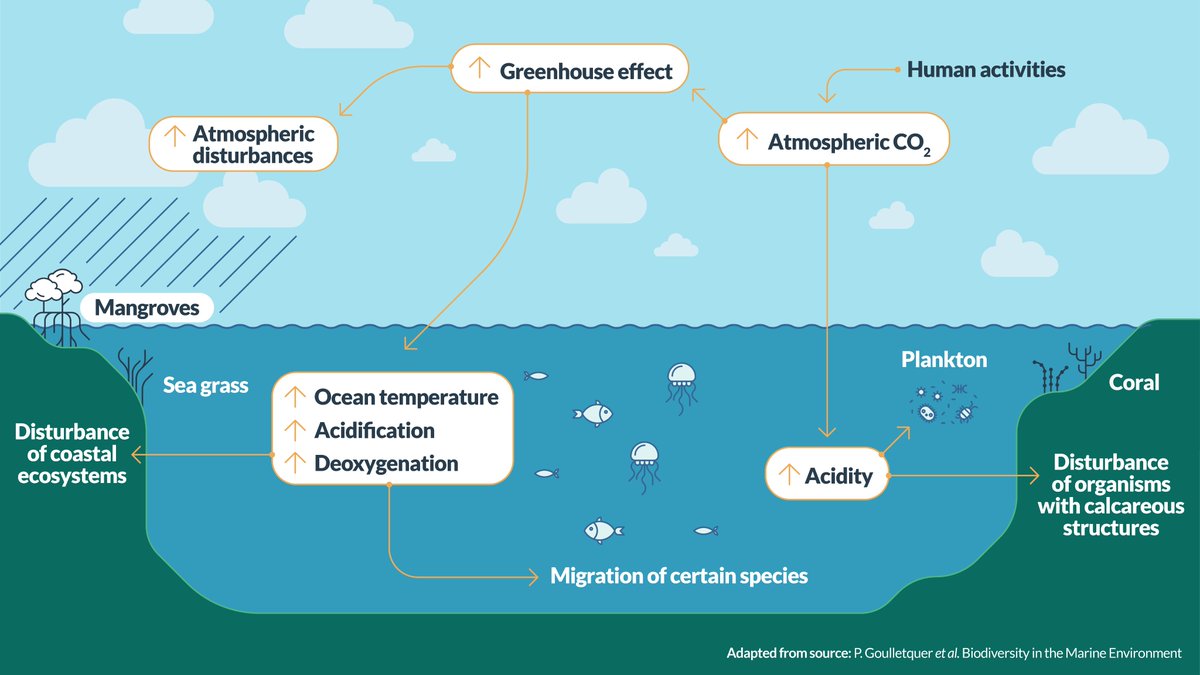 CMEMS_EU's tweet photo. @MercatorOcean @CopernicusLand @H2020_coastal @alej_iglesias @ECFAS_project @OceanaEurope @EU_ENV @EUClimateAction @UNBiodiversity @UNDRR_ECA 🧵3/3
Coastal planning and management is essential to protect coastal areas and communities

Find out how the #CopernicusMarine service informs and supports this goal in the new section of our #OceanExplainers portal 👇
https://t.co/iVIsTl6eVI https://t.co/jOrm4EYIwq