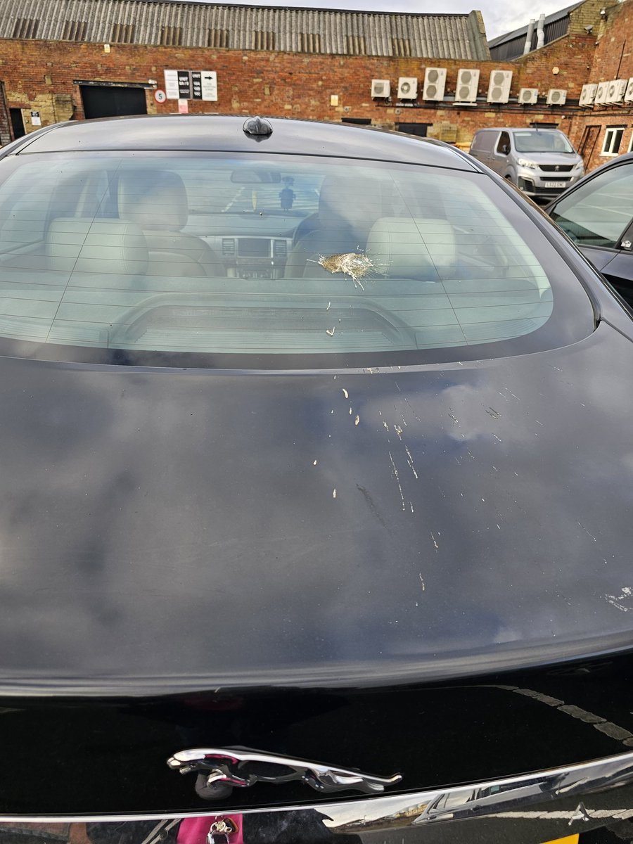 EditorASNews's tweet photo. They say bird poop on you is good luck. Does it mean the same when it's on your car? #Fridaypoop or #FridayLuck? #superstitions 🙈 https://t.co/CuZAKFVK4E