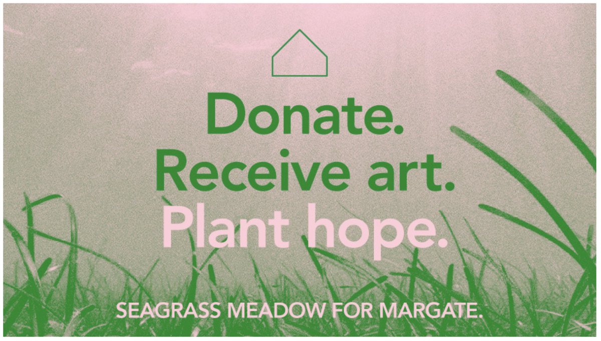Art for Our Sea: Planting Hope in Margate with Art is a new fundraiser which aims to plant a seagrass meadow running the full width of Margate’s Main Sands.

1/4