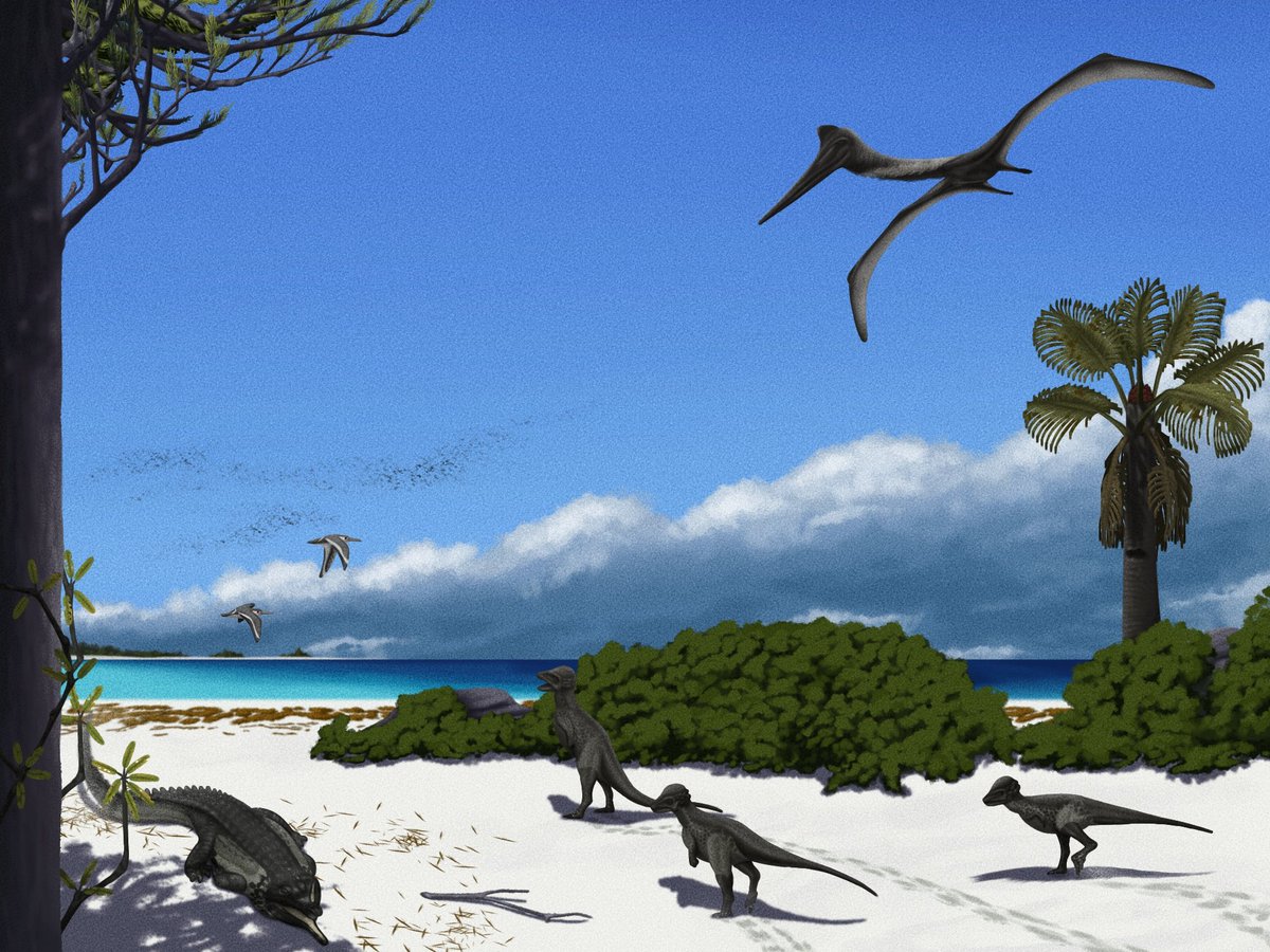 paleoii's tweet photo. Hell creek coastal https://t.co/k48XHZjlKU