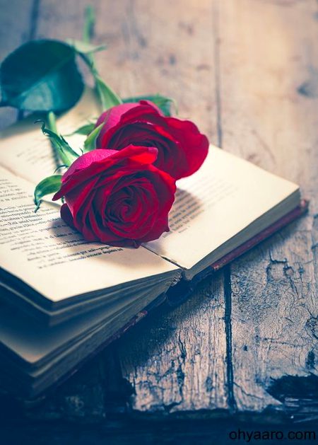 انسان بے داغ بھی ہو تو 🙃🥀

 داغ ۔۔۔۔۔۔۔۔۔۔۔۔

 لگانے والے ہزار ہوتے ہیں😏😌