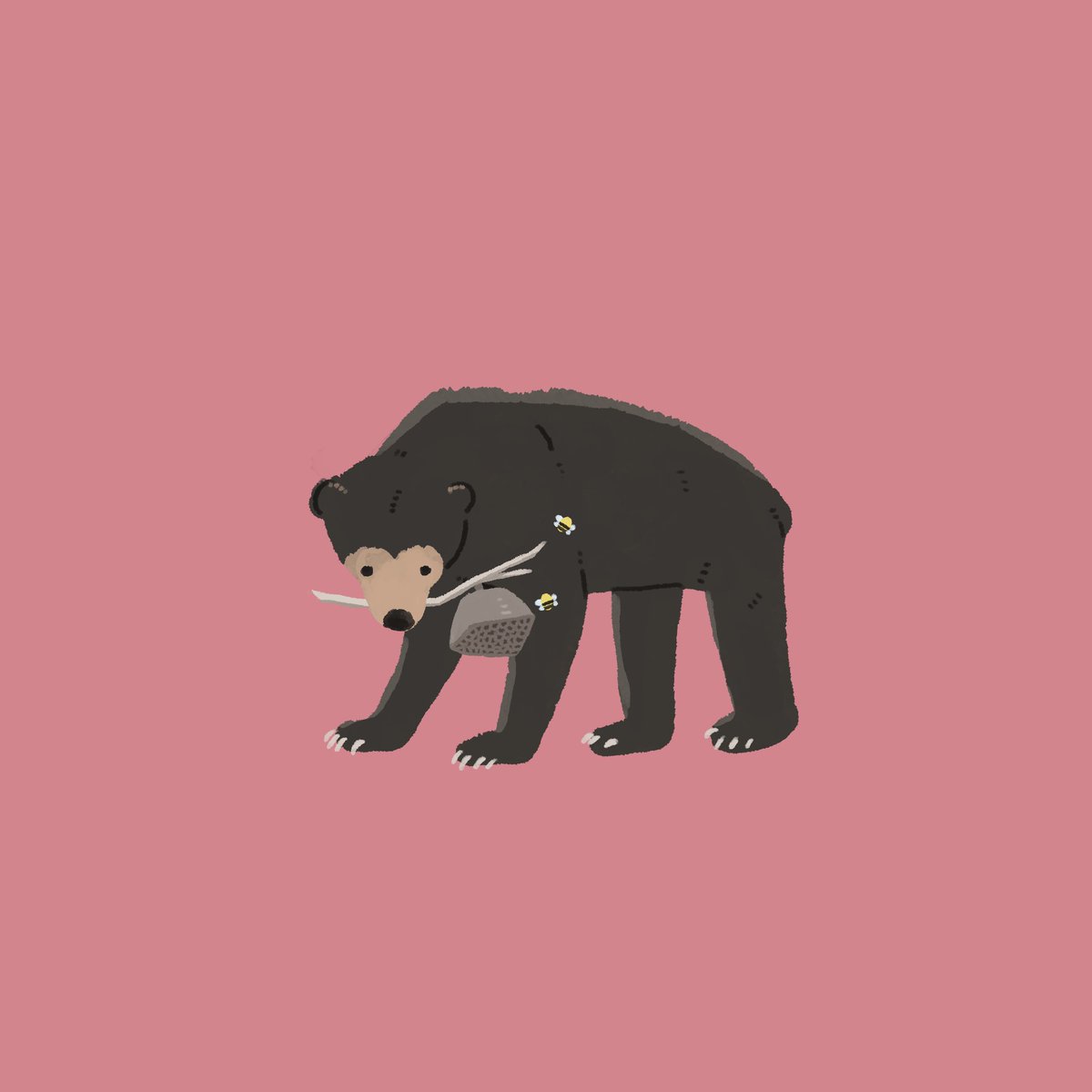 funnycollo's tweet photo. 連日くまのニュースやってるので前に描いたくまたちを再掲
ツキノワグマは柿、マレーグマは蜂蜜、アメリカクロクマはリンゴ、ホッキョクグマはアザラシが好物

生態を理解して適切な距離を保ちたいね！ https://t.co/thBeFur6mD