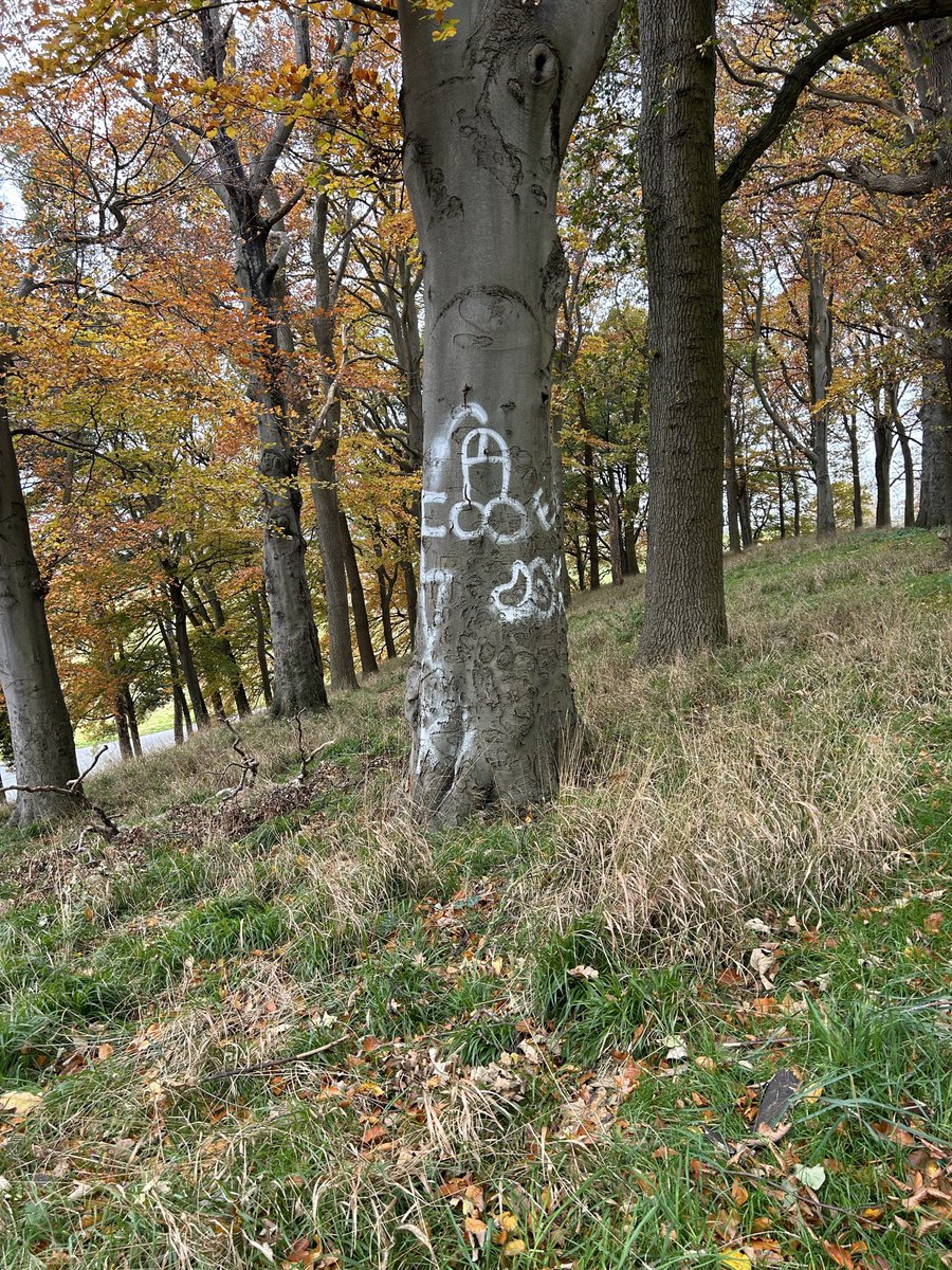 ‘Early autumn morning hesitated, Shying at newness, an emptiness behind Scorched linden trees still crowding in around The moorland house, now just one more wallstead’