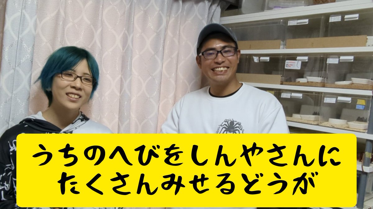 GUUCH023's tweet image. 告知おまたせしました!!
今日の動画はこちらです!
youtu.be/q5YtWjdR3sw
先日の動画に引き続きsinyaさんが動画に出てくださってます!
今回は我が家のヘビをいっぱい触ってもらいました☺️✨
sinyaさん
@sinya_honshu 
BLACK EVOLUTION
@reptile_snakes