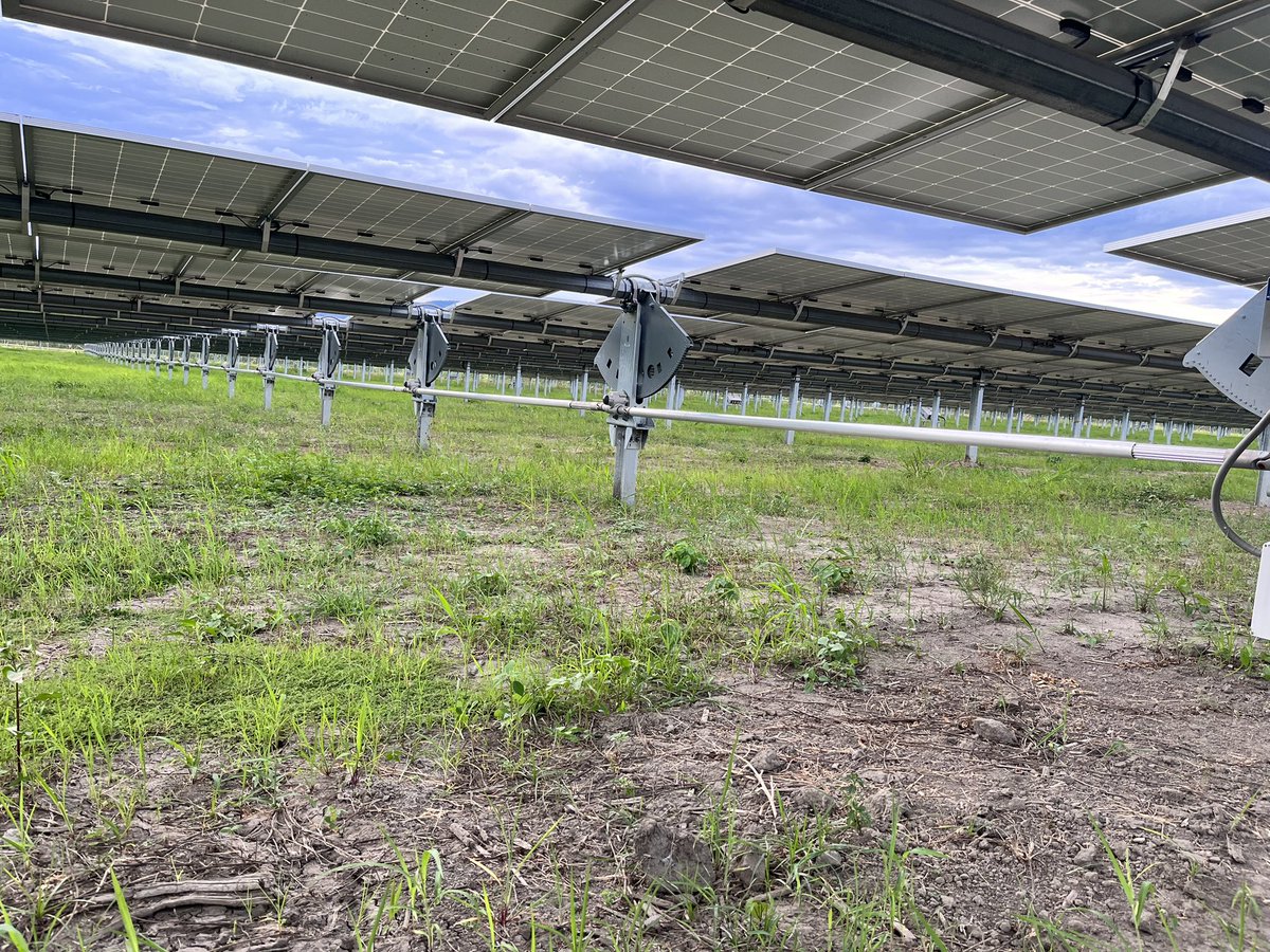 risierra88's tweet photo. Disfrutamos en @Celsia_Energia al construir la infraestructura que permita un servicio de calidad y abordar la transición energética. Aquí con nuestros aliados de #Cubico visitando modernas subestaciones y granjas solares. Inversionistas que apuestan por Colombia y su gente. https://t.co/UqW7kxeRFg