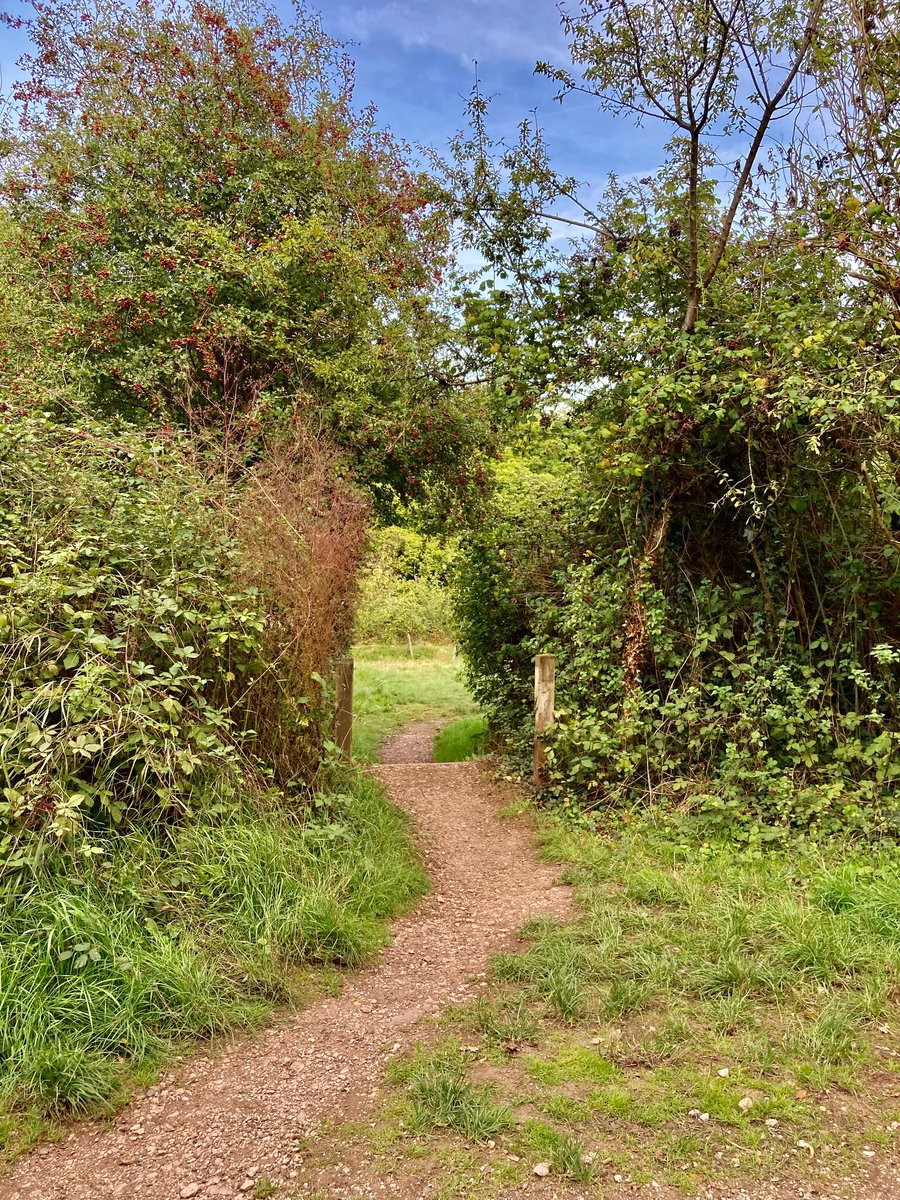 🎉WIN! One of ten £35 InExeter vouchers! 🎉 <a href="/LiveMoveExeter/">Live and Move</a> are asking for your views on Exeter’s Green Circle – a 12 mile circular route of footpaths and cycle paths around Exeter > Complete the survey and opt in for the prize draw at  exeter.gov.uk/greencirclesur… <a href="/tweetinexeter/">InExeter</a>