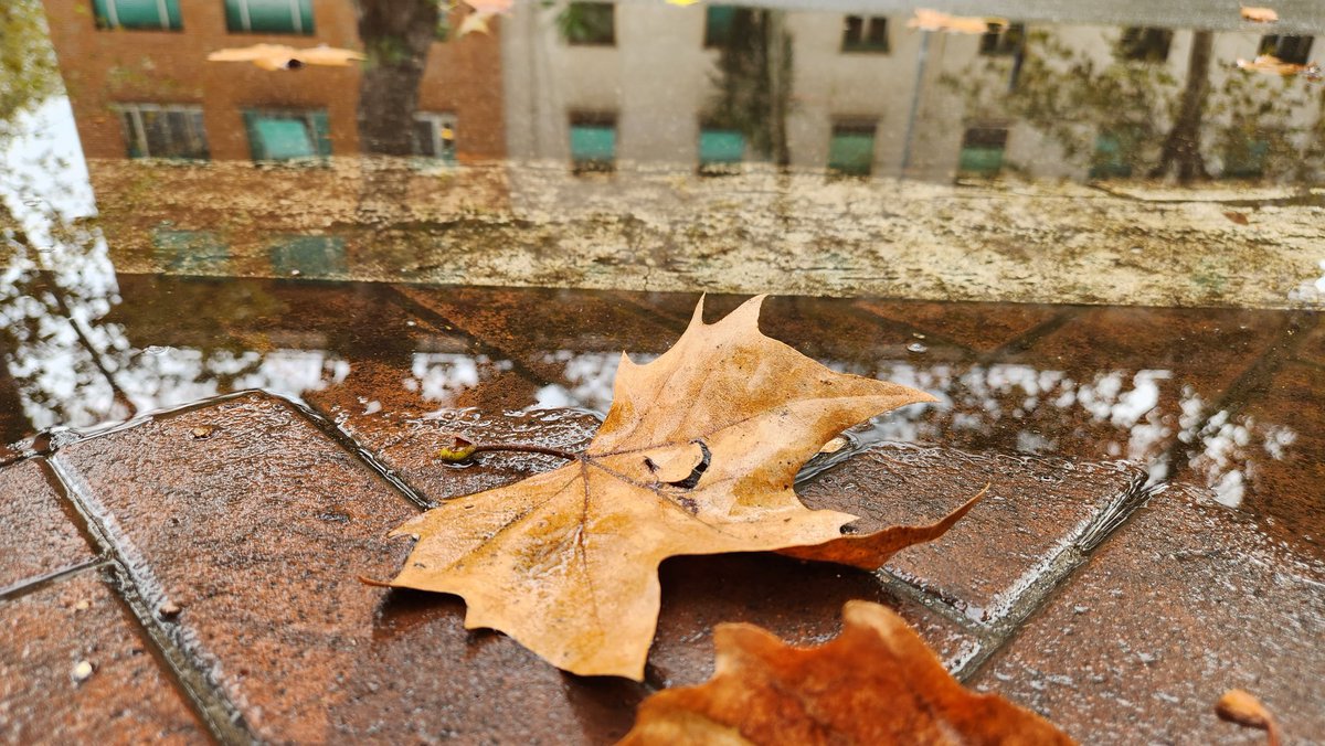 SupDc_'s tweet image. È il ciclo della Vita! 
#Reflected