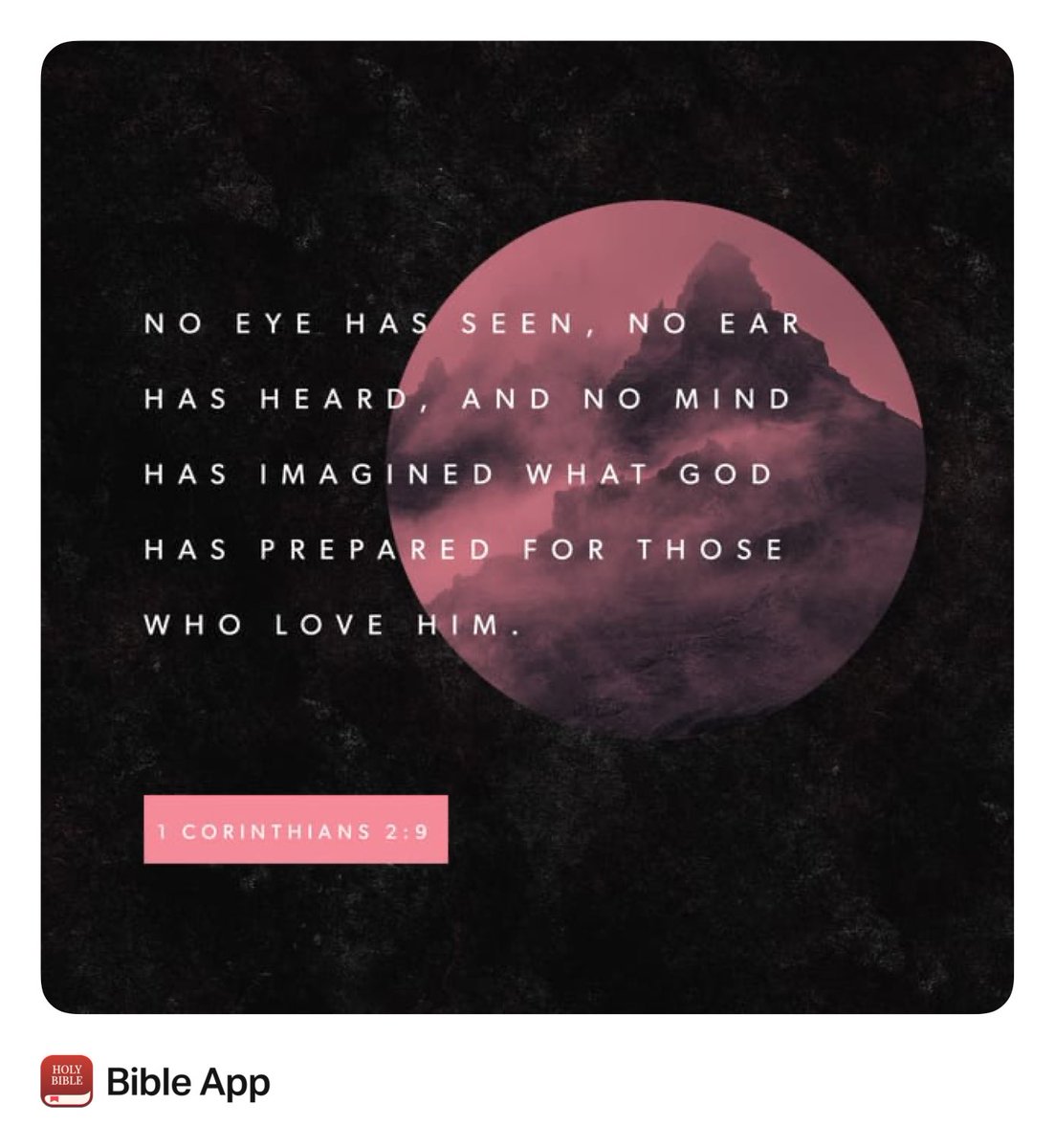 Dennis Green tweet media