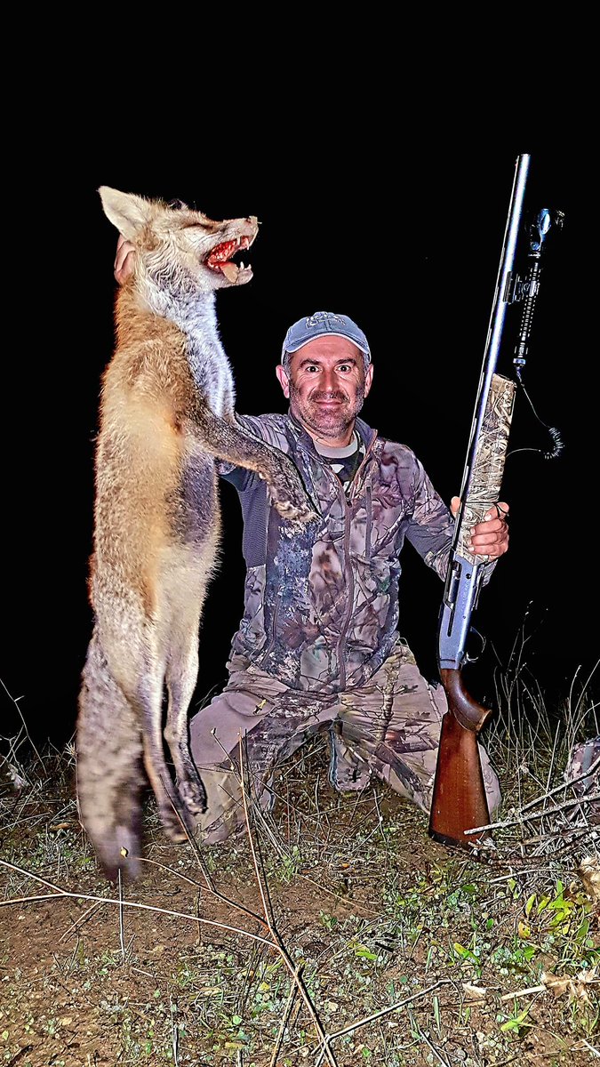 Posa con cara de satisfacción después de matar a este pobre zorro. 

Así son los cazadores que campan a sus anchas en nuestros montes, armados, con ganas de matar.

#NoALaCaza #StopCaza #VíctimasDeLaCaza #ZorrosVivos