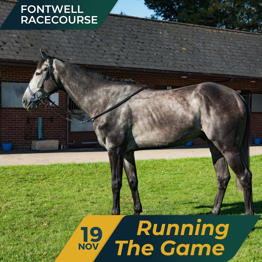 OldGoldRacing's tweet photo. Running The Game has been declared to run at @FontwellPark  on November 19th in the 14:43 Betgoodwin Best Odds Guaranteed Juvenile Hurdle over 2m½f.

Jamie Moore takes the ride. 😜

#offracing #runningthegame #gamer #garymoore #debut #hurdles #ownapieceoftheaction #getyourheartracing